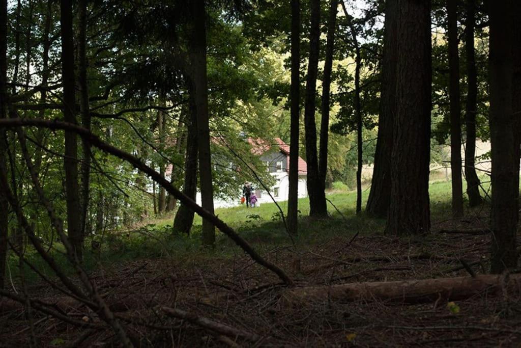 Wald-Apartment Limabach - Oberfrohna Esterno foto