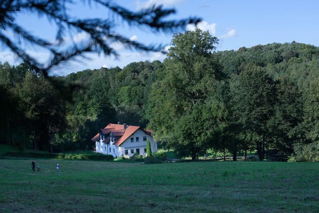 Wald-Apartment Limabach - Oberfrohna Esterno foto