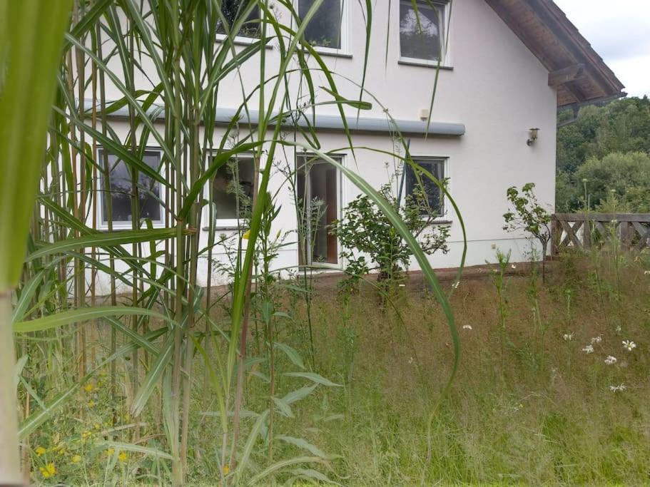 Wald-Apartment Limabach - Oberfrohna Esterno foto