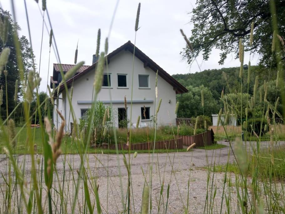 Wald-Apartment Limabach - Oberfrohna Esterno foto