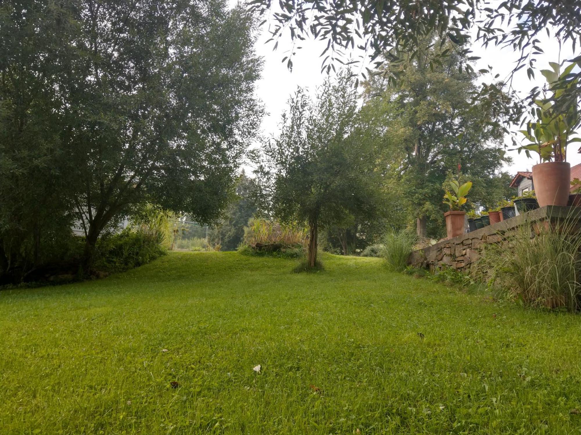 Wald-Apartment Limabach - Oberfrohna Esterno foto